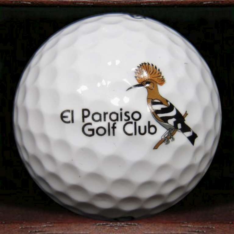 Club Logo